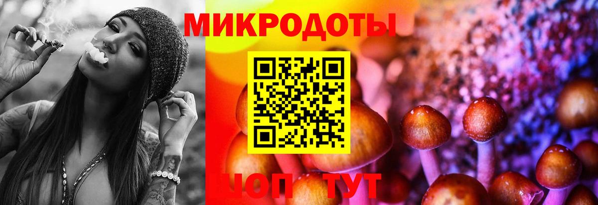 Добрянка  Псилоцибиновые грибы ЛСД  Вход с VPN 